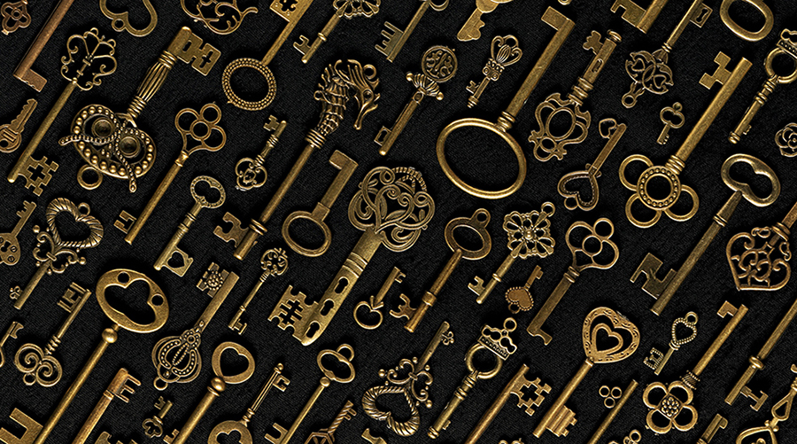 Multiple keys symbolizing data-centric solutions and versatility.